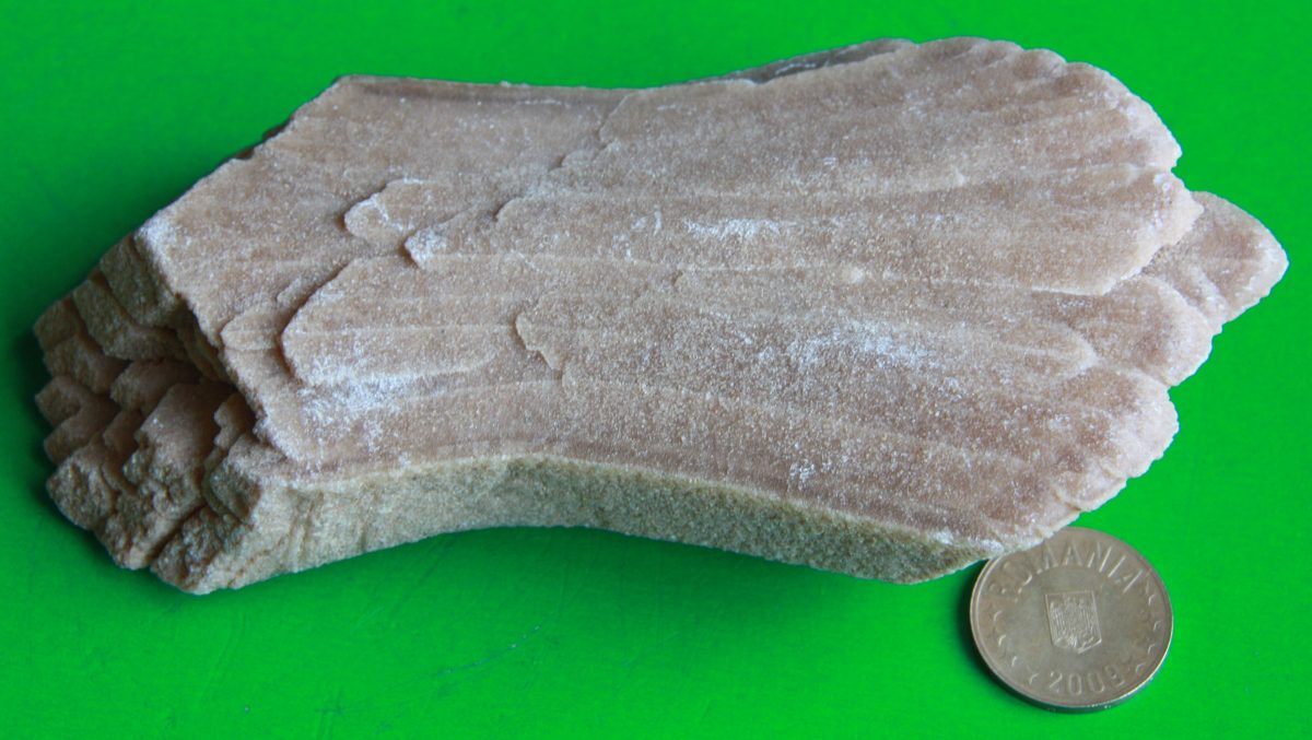 Gips
