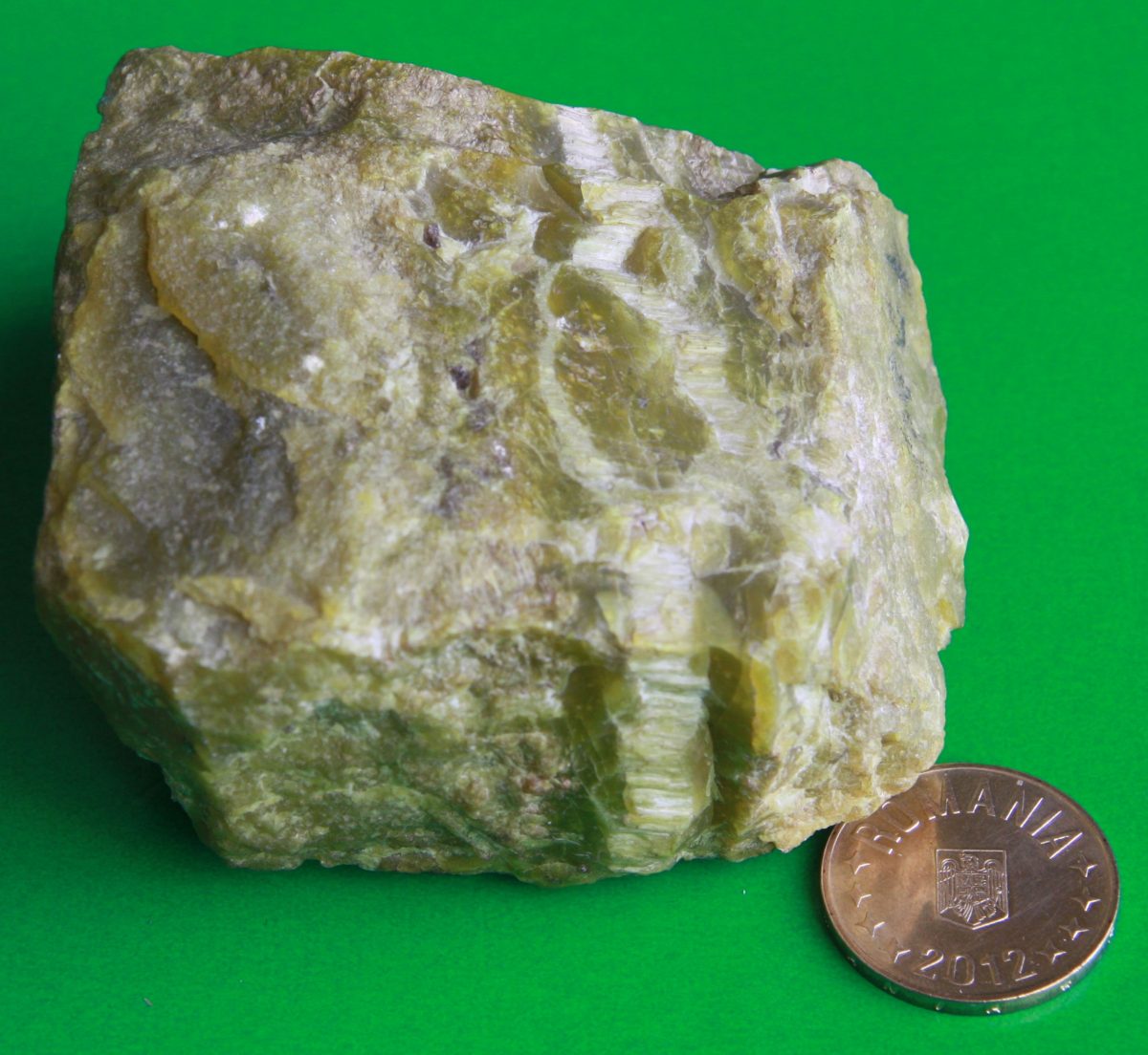 Serpentină