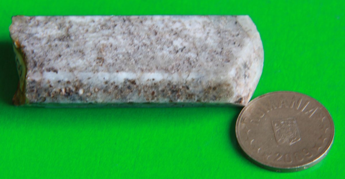 Ortoză