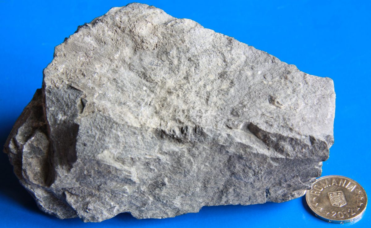 Lamprofir
