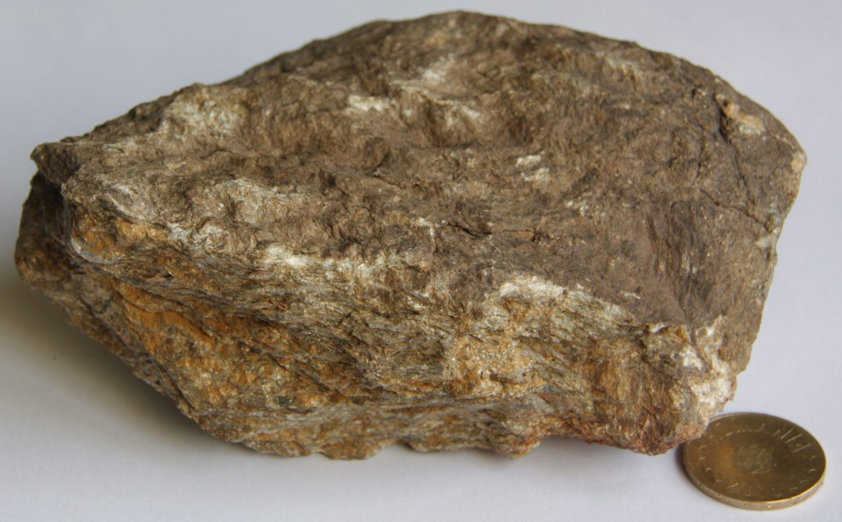 Conglomerat metamorfozat