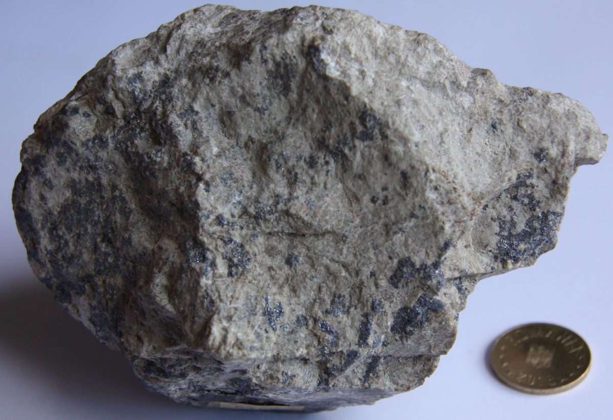 Skarn granatifer cu molibdenit