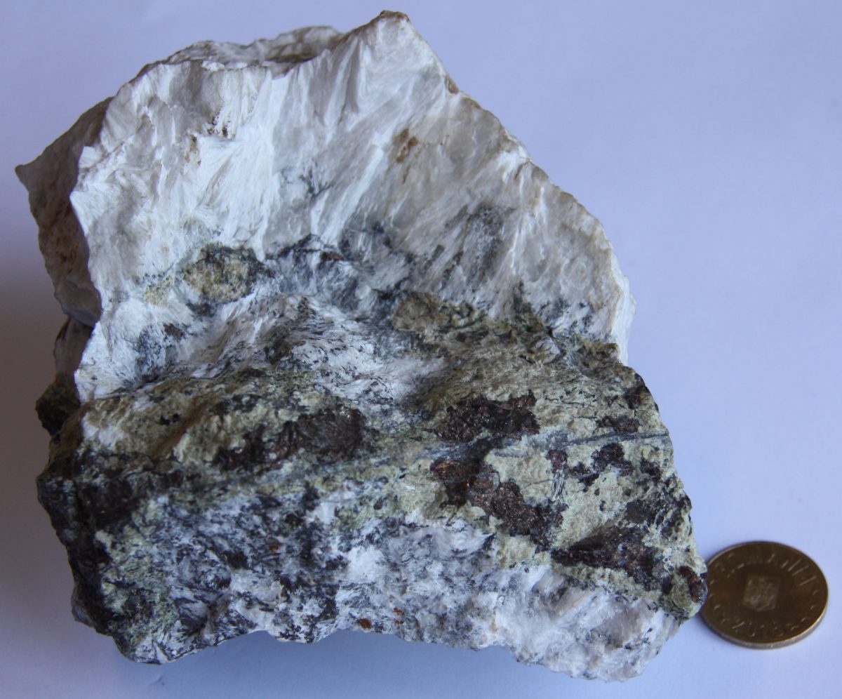 Skarn wollastonitic cu bismutină, calcopirită, covelină