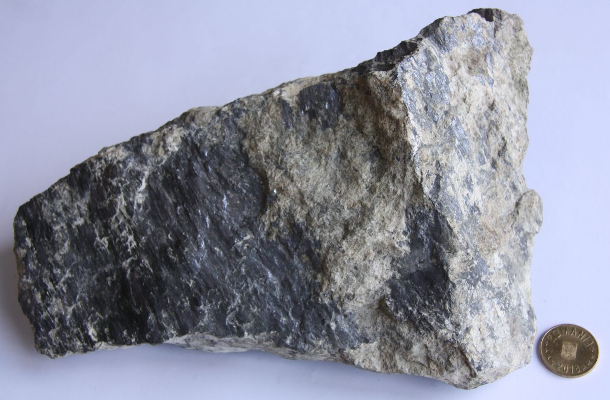 Skarn cu molibdenit