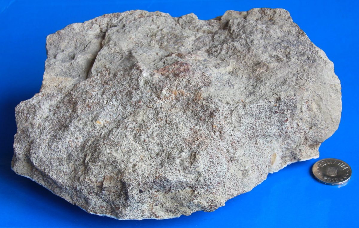 Siderit oolitic