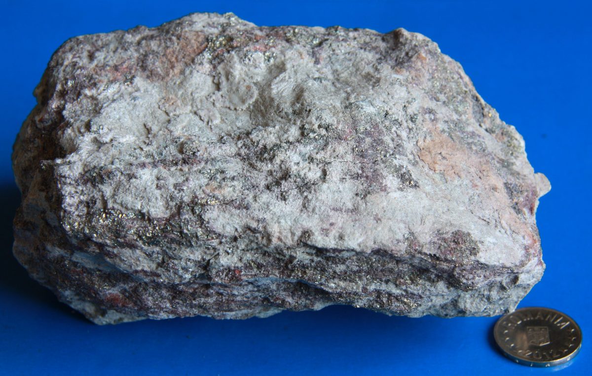 Skarn mineralizat cu pirită şi calcopirită