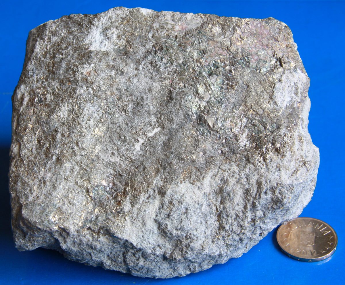 Skarn mineralizat cu pirită şi calcopirită
