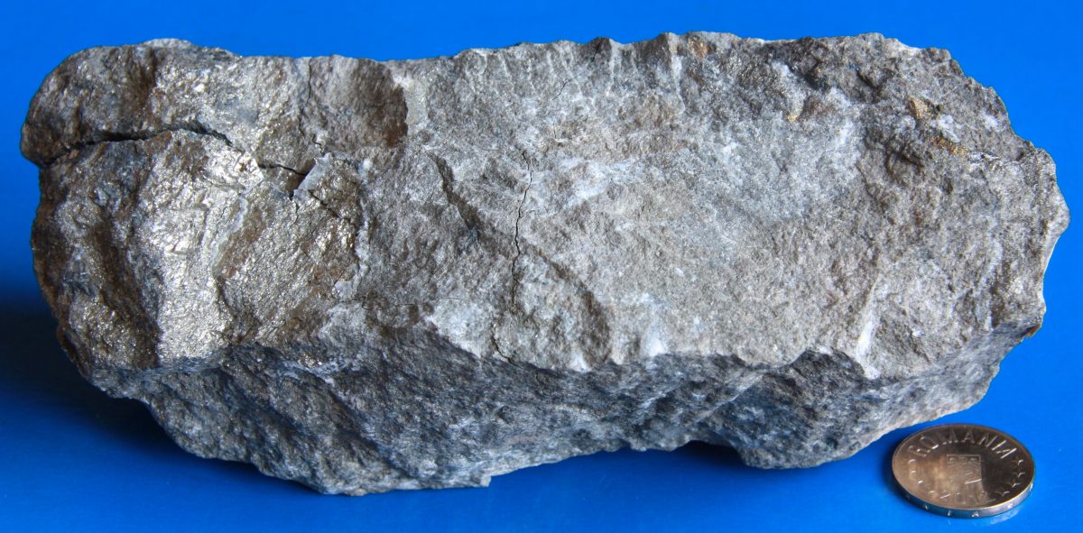 Exoskarn mineralizat cu pirită şi calcopirită