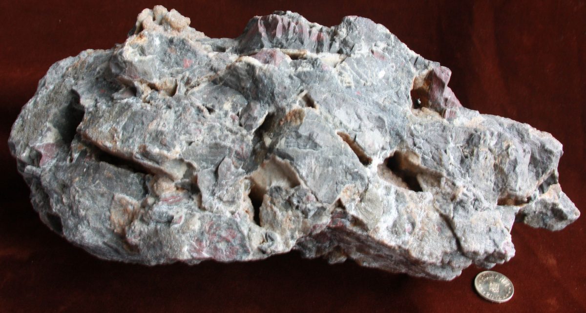 Brecie tectonică