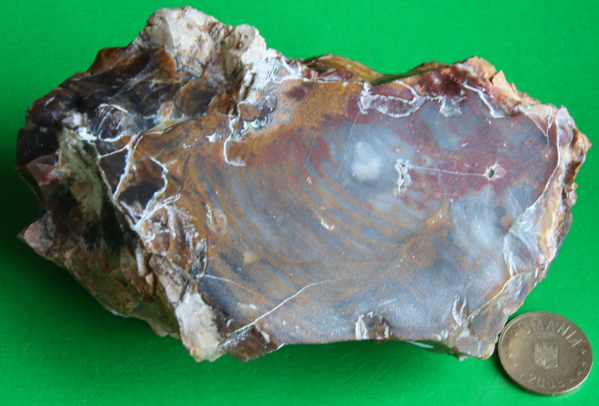 Jasp (var. Calcedonie)