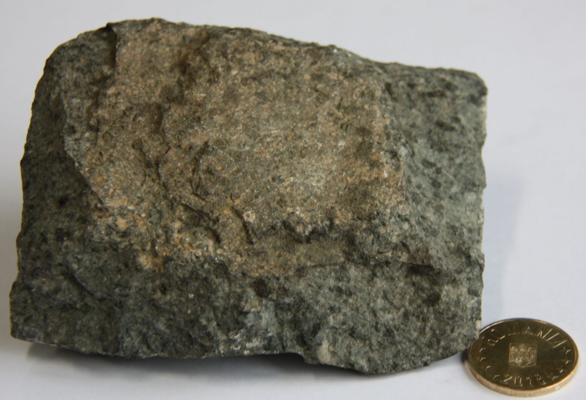 Diorit augitic