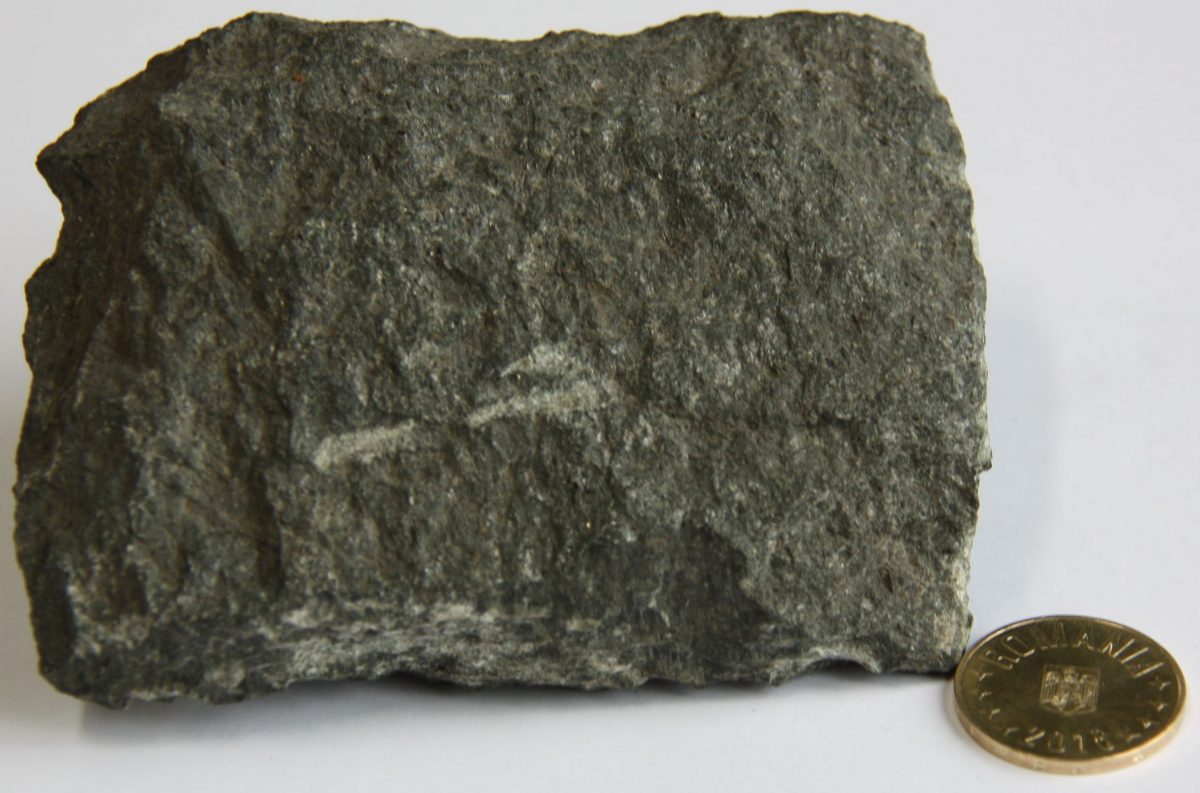 Diorit micaceu