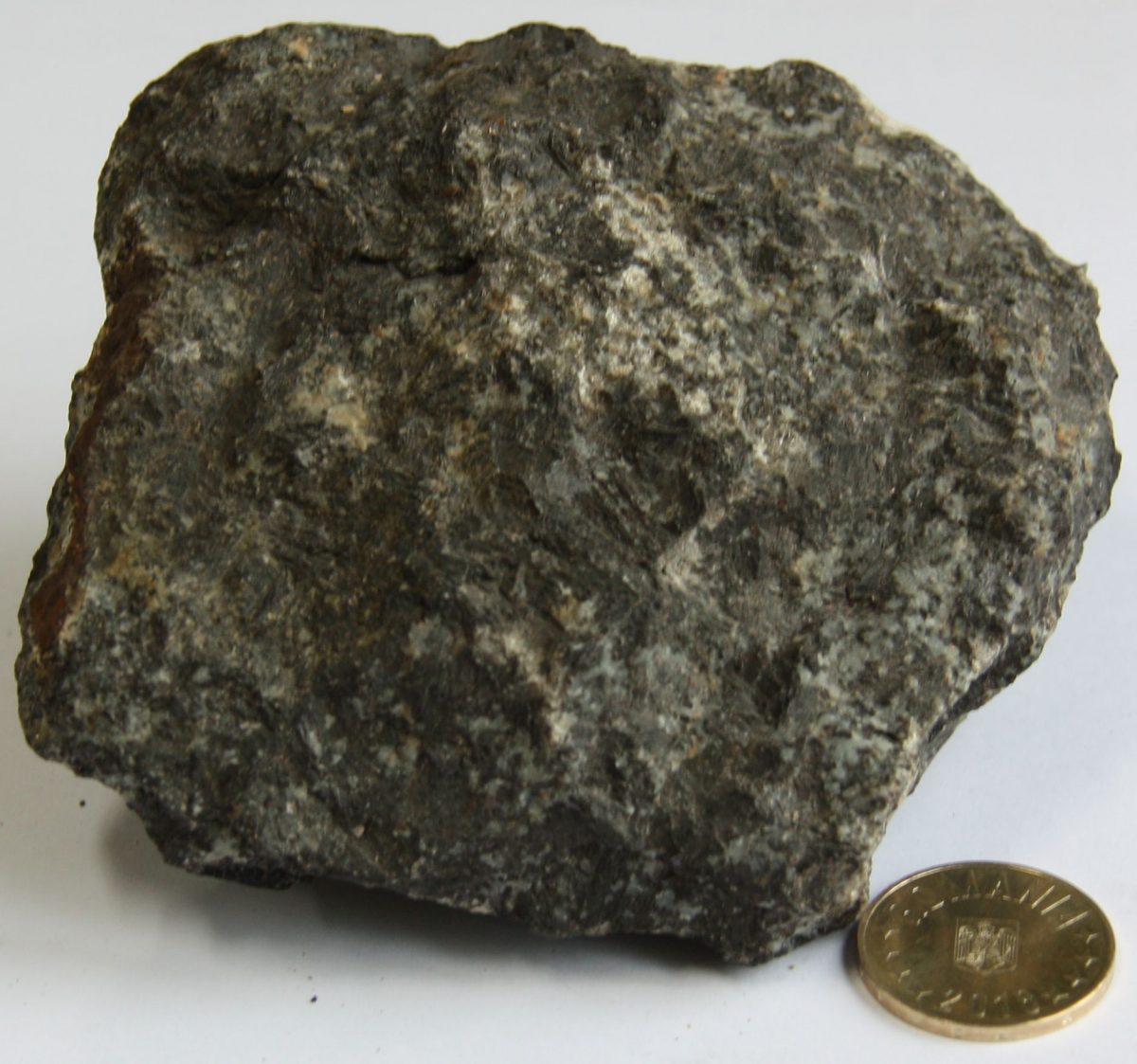 Diorit augitic