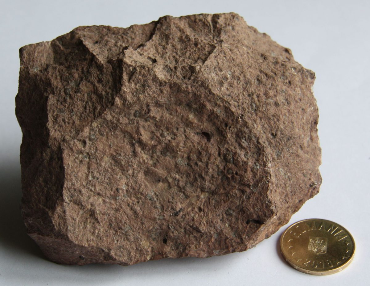 Granofir