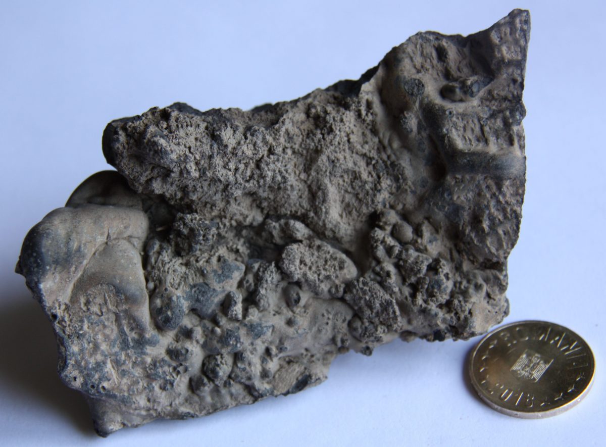 Lavă