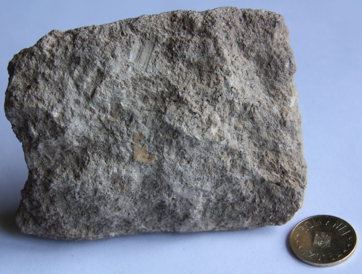 Conglomerat trahitic