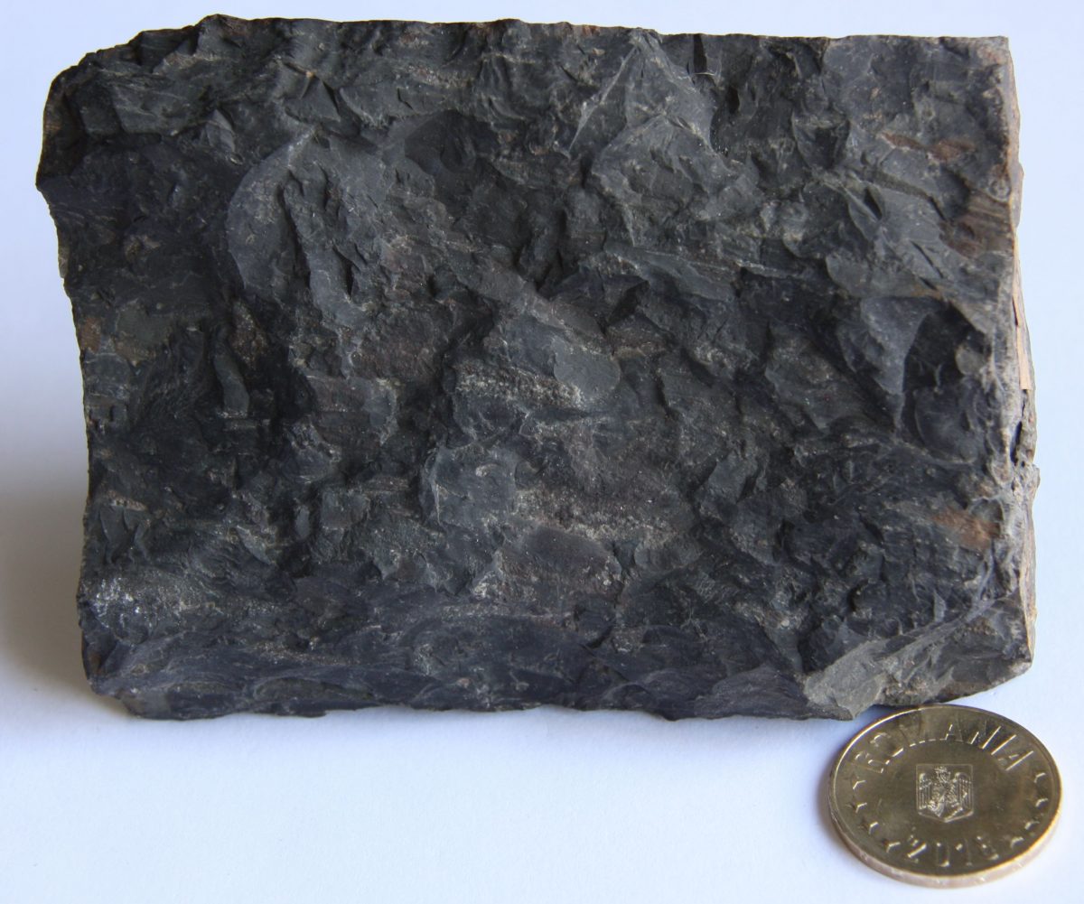 Vitrofir