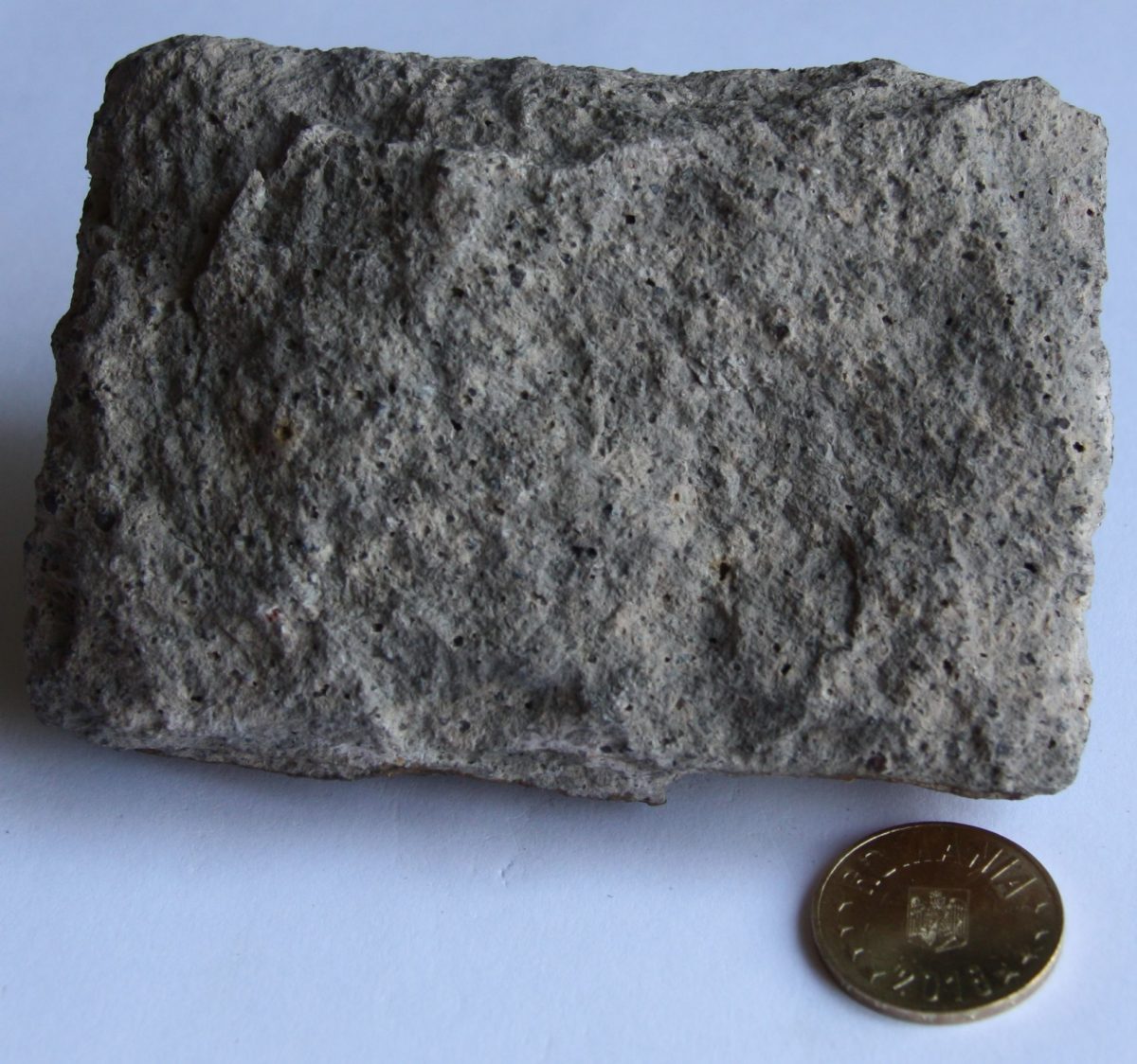 Porfir cuarţifer