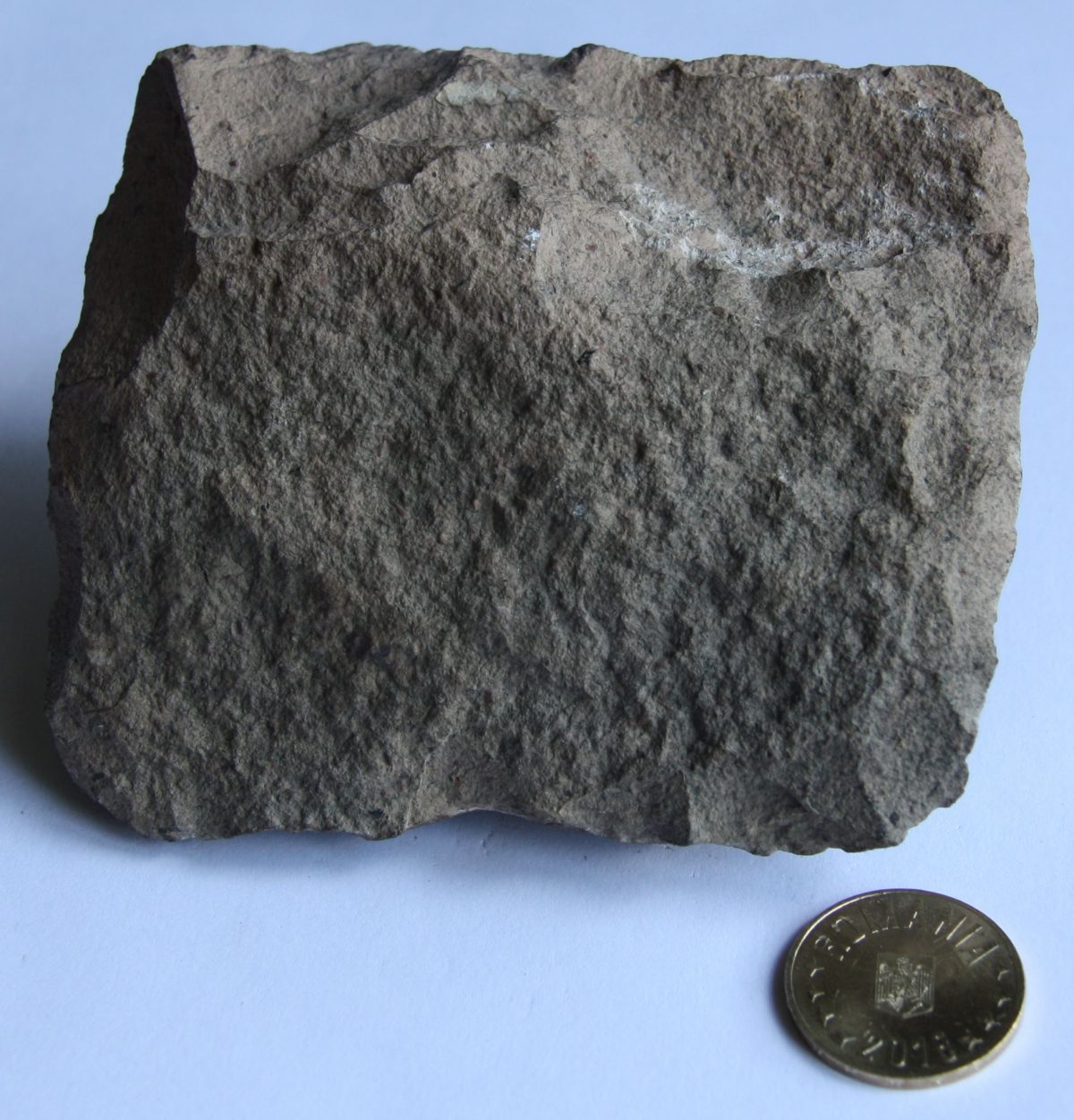 Porfir felsitic