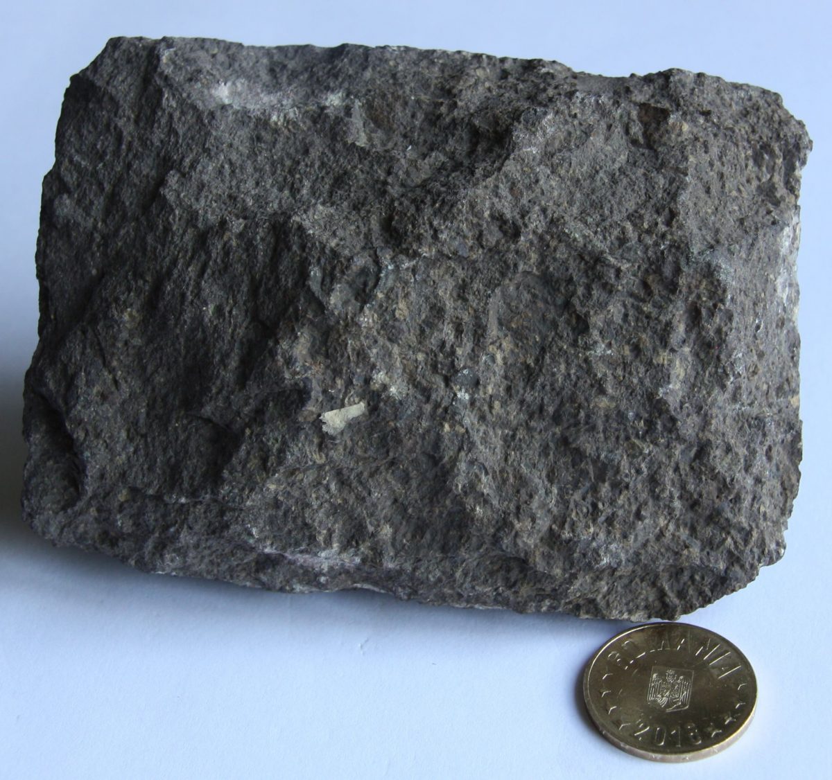Labrador porfir