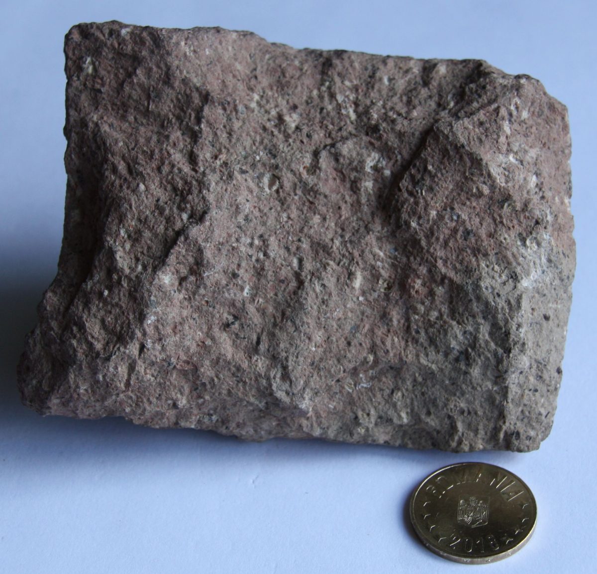 Porfir cuarţifer