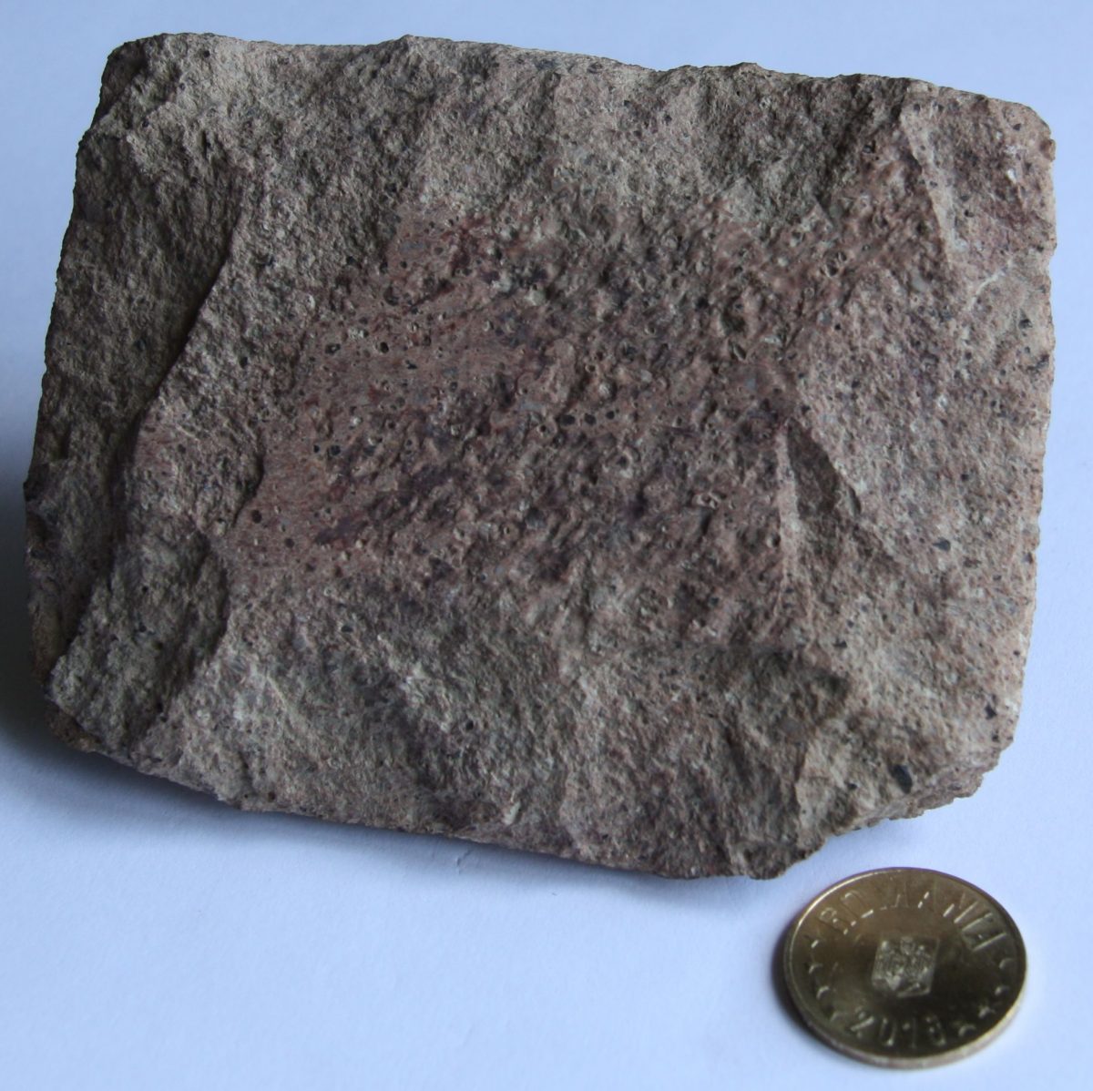 Porfir felsitic