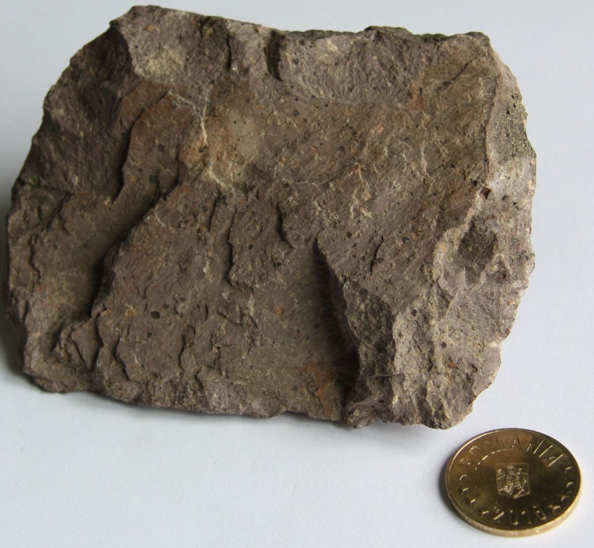 Porfir felsitic