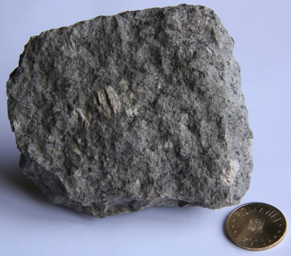 Porfir cuarţifer