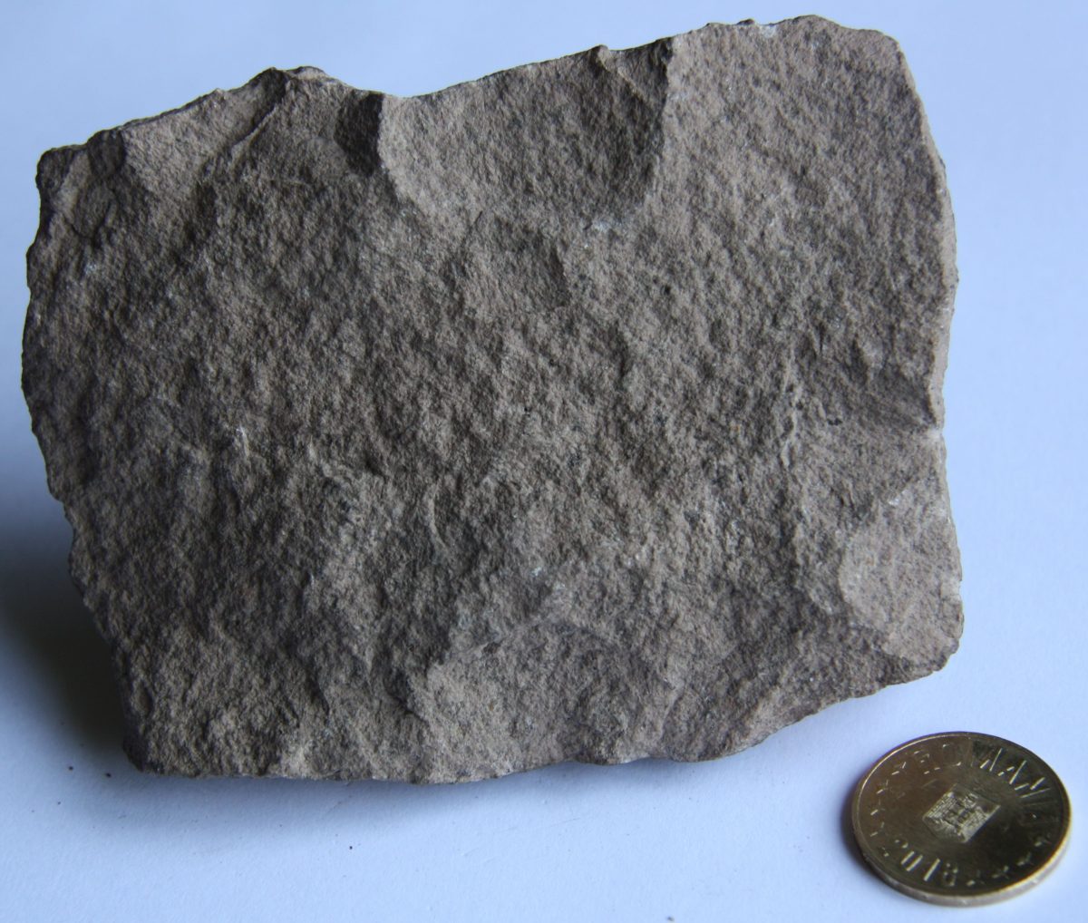 Porfir cuarţifer