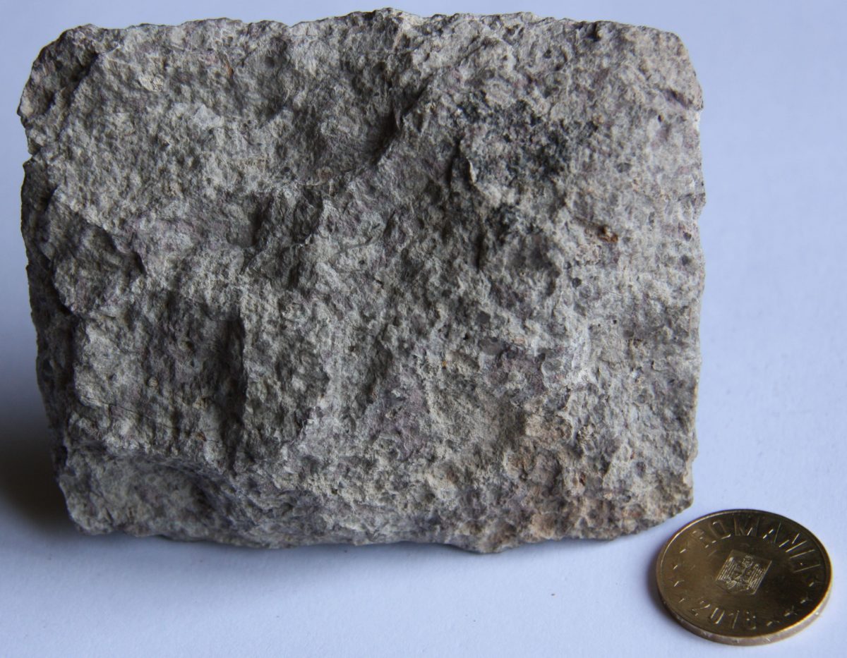 Porfir cuarţifer