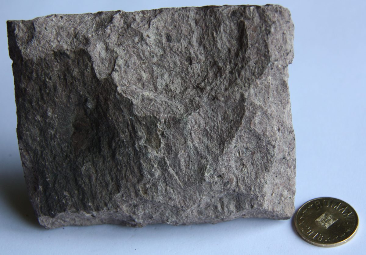 Porfir felsitic