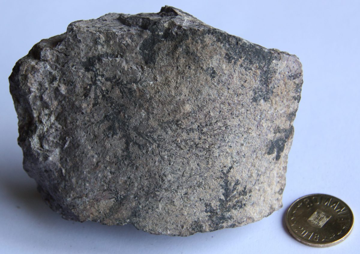 Porfir cuarţifer