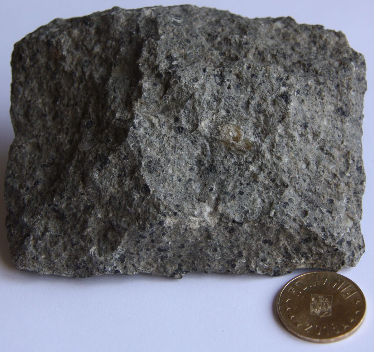 Leucitofir