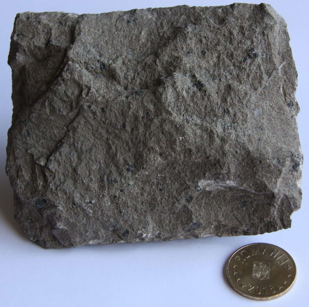Fonolit