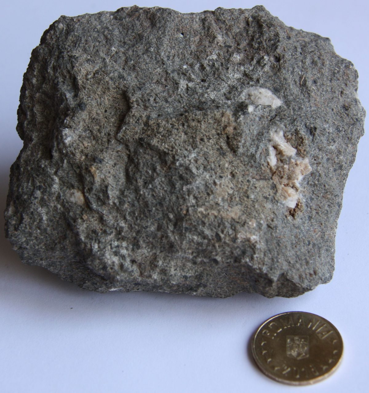 Fonolit