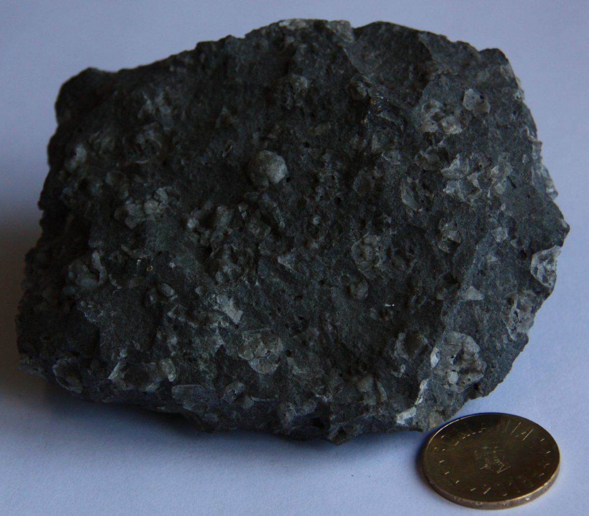 Leucitit