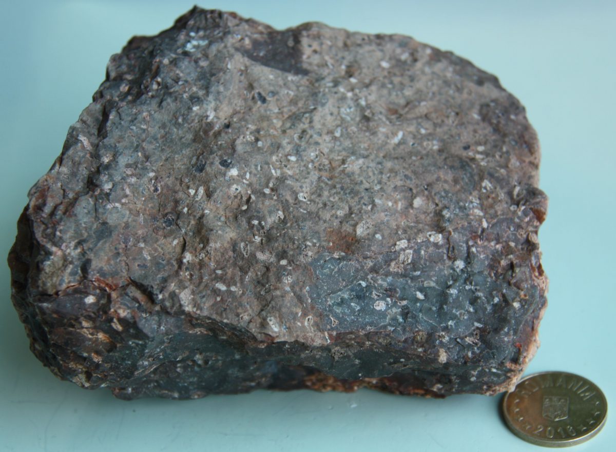 Porfir cuarţifer