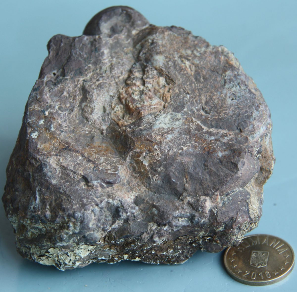 Granofir