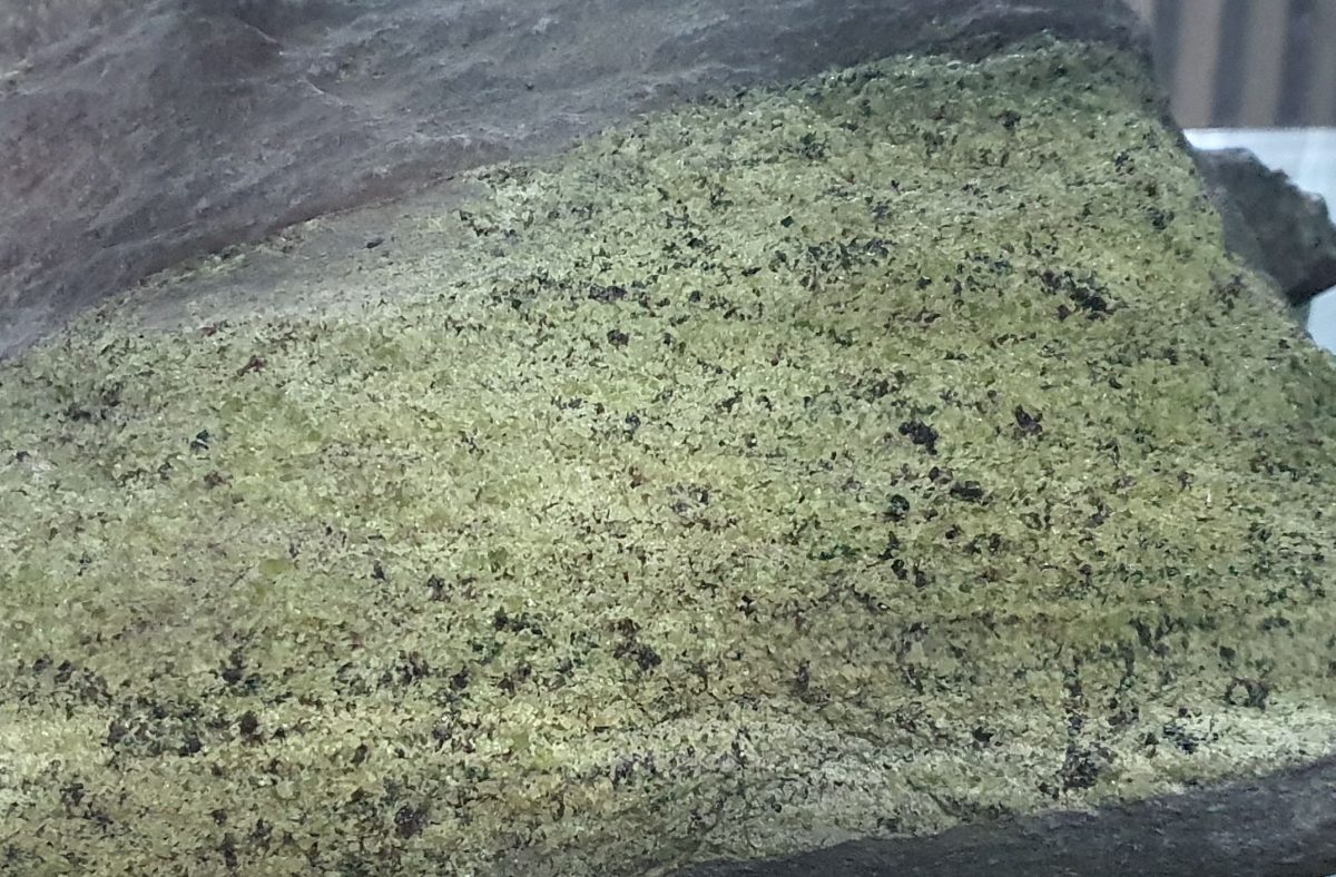 Xenolit peridotitic în bazalt