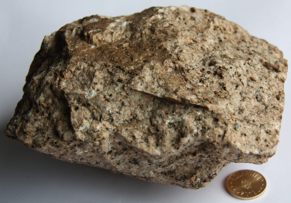 Granitoid