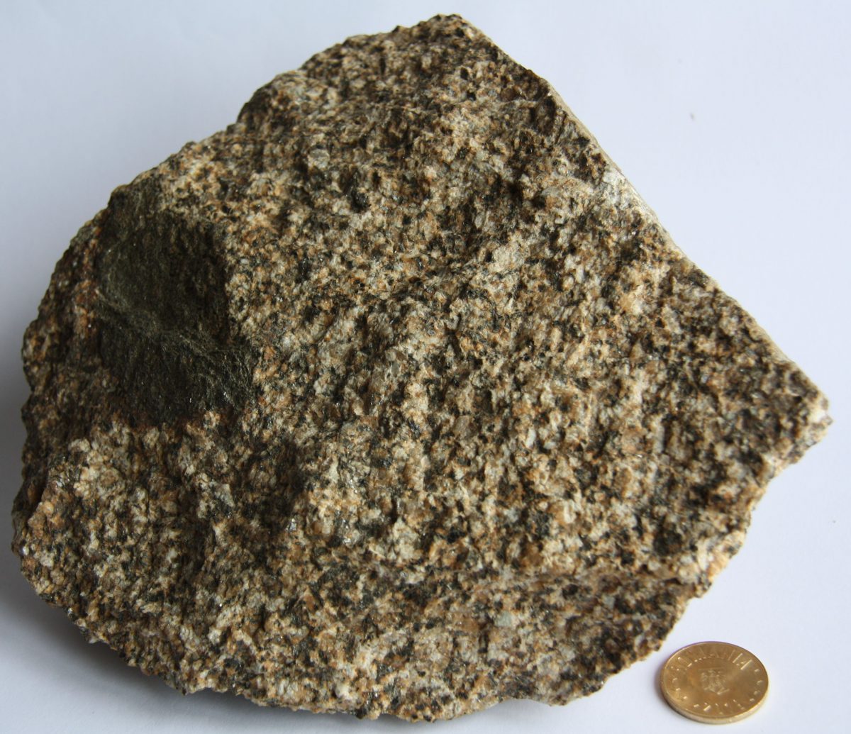 Granitoid