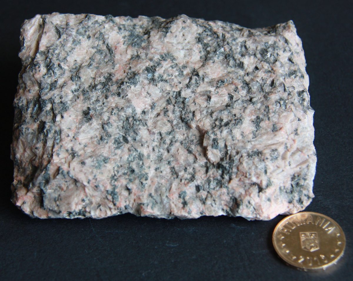 Gnais granitoid