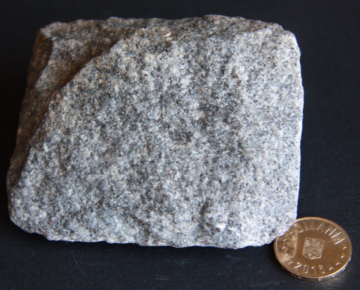 Gnais granitoid