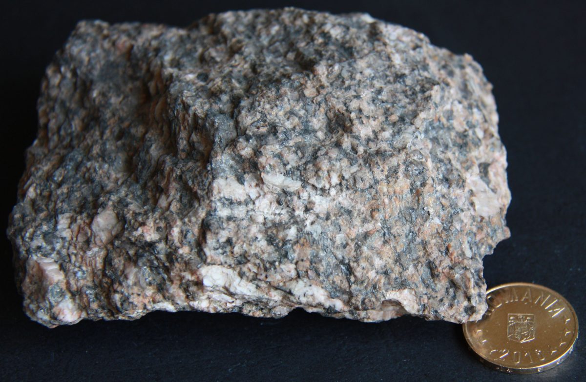 Gnais granitoid