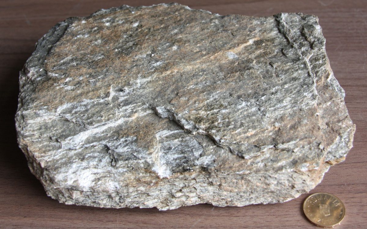 Paragnais
