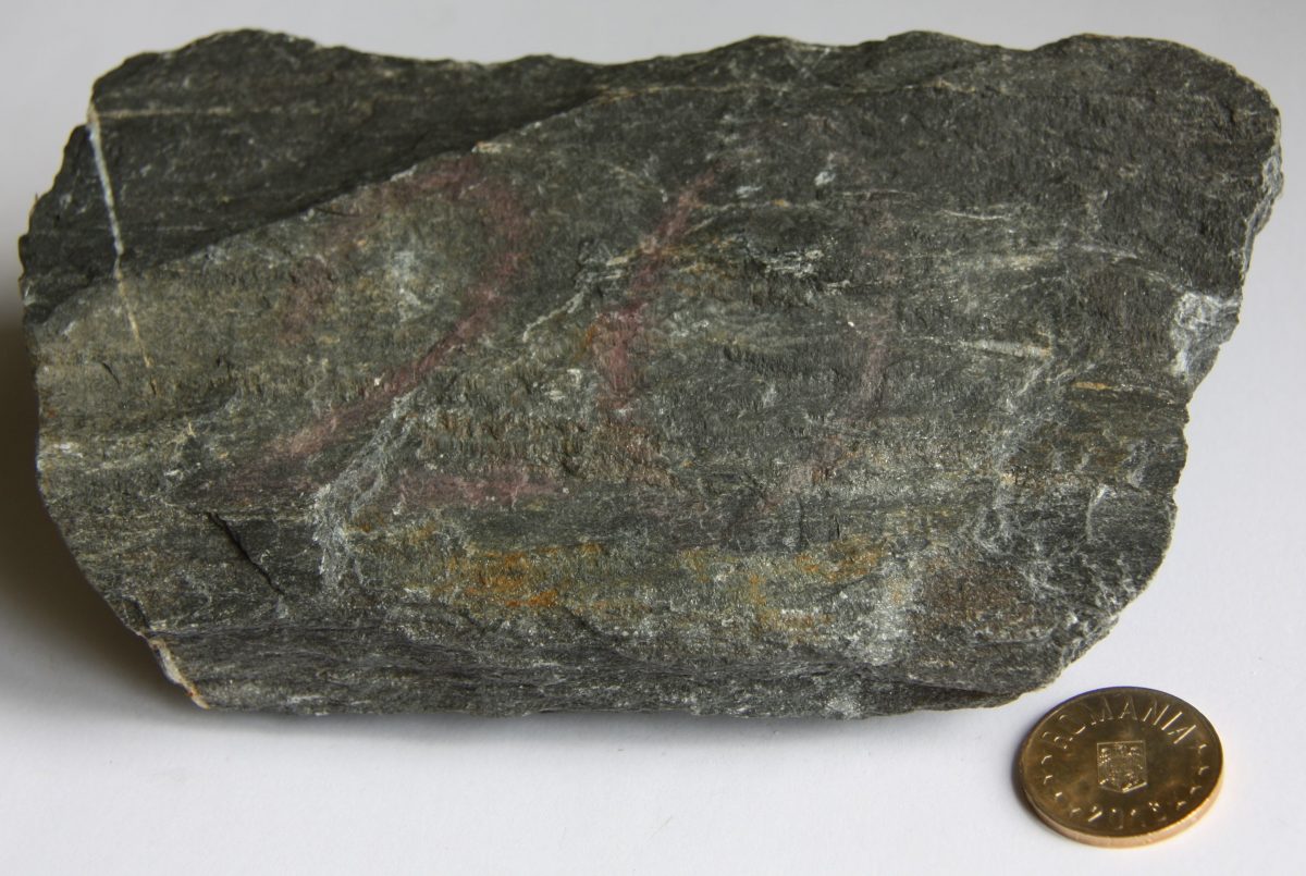 Calcar negru şistos