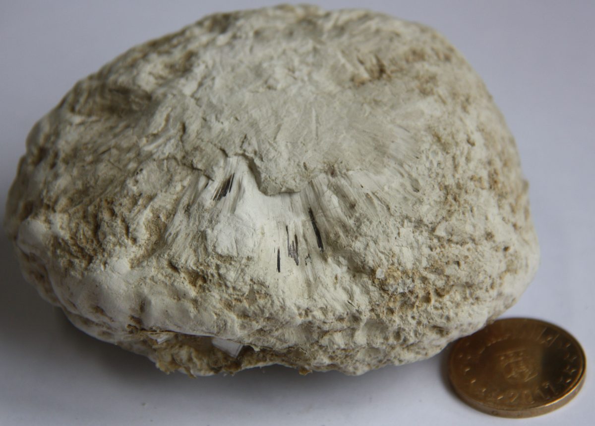 Loess