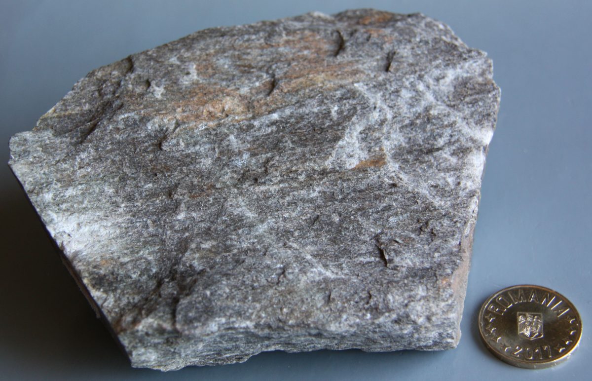 Şist biotitic