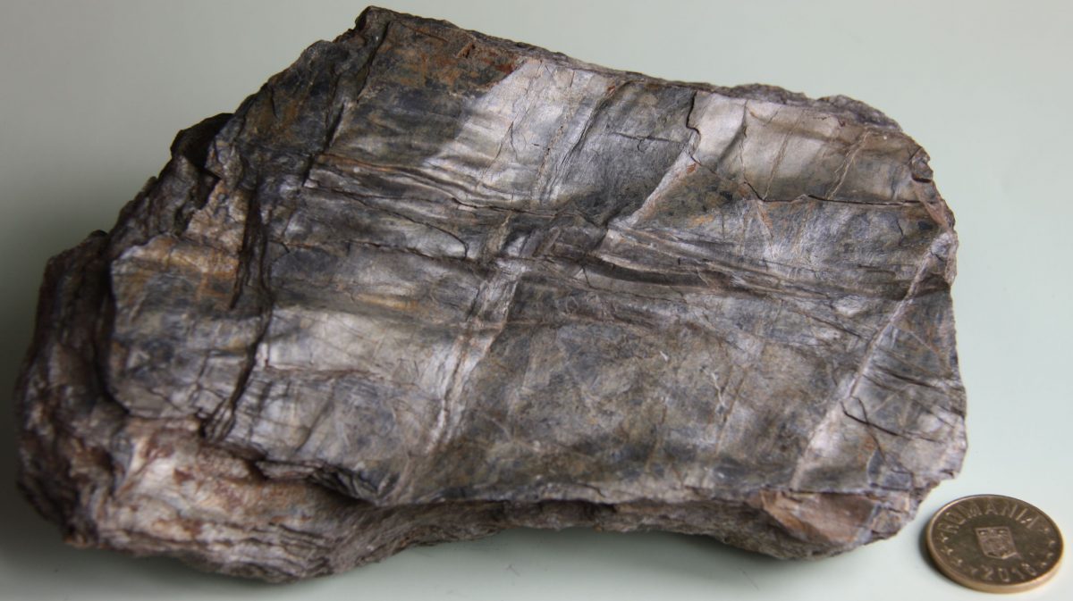 Filit