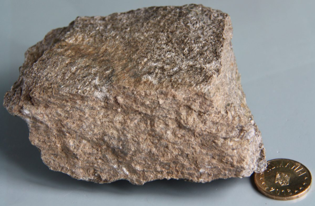 Paragnais
